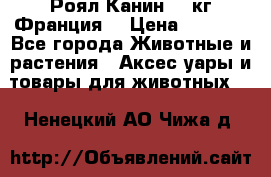  Роял Канин 20 кг Франция! › Цена ­ 3 520 - Все города Животные и растения » Аксесcуары и товары для животных   . Ненецкий АО,Чижа д.